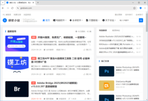 CCleaner Browser(CCleaner浏览器) v131.0.27894.265-私藏阁