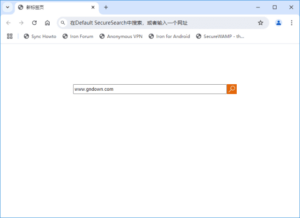 SRWare Iron(基于谷歌开发的浏览器) v131.0.6650.1 多语便携版-私藏阁