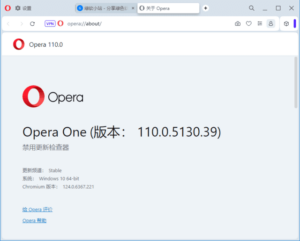 Opera Portable(Opera浏览器) v115.0.5322.119 多语便携版-私藏阁