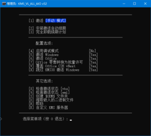 KMS_VL_ALL_AIO中文版(KMS激活工具) v53 汉化绿色版-私藏阁