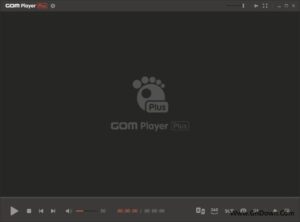 GOM Player Plus(多媒体播放器) v2.3.95.5366 多语便携版-私藏阁