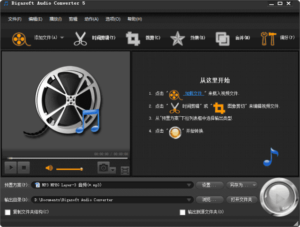 Bigasoft Audio Converter(音频转换软件) v5.8.1.9133 多语便携版-私藏阁
