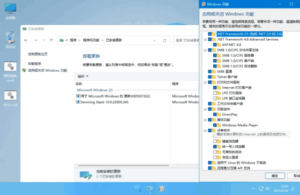 xb21cn Win11 v24H2 Build 26120.2894.1 精简版-私藏阁