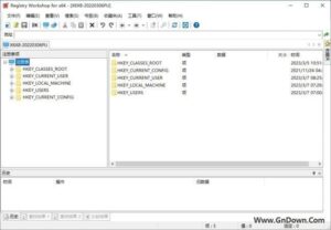 Registry Workshop(注册表编辑器) v5.1.0 中文版-私藏阁