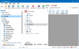 CoolUtils PDF Splitter(PDF分割工具) Pro v6.1.0.79 多语便携版-私藏阁