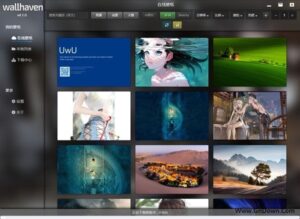 Wallhaven(优秀壁纸获取设置软件) v4.4.6-私藏阁