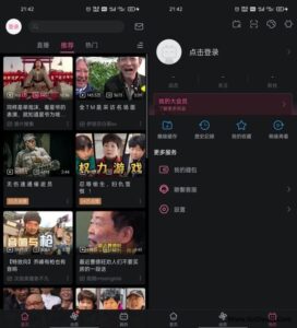 B站谷歌版哔哩哔哩APP国际版bilibili v3.19.2-私藏阁